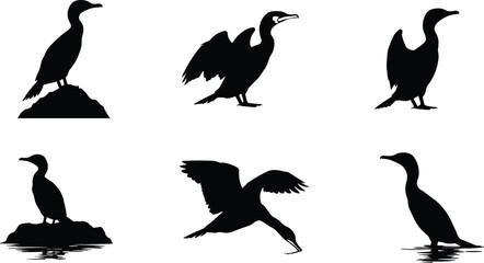 Cormorant bird silhouettes in various poses, flying, standing, drying wings, perched on rocks, waterfowl vector set for wildlife themes
