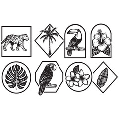 Tropical summer elements in frames vector. Leopard, palm tree, toucan, 
flowers, hibiscus,parrot, leaves, plumeria