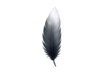 Gray bird feather floating in air