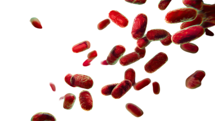 a microscopic view of numerous red bacteria cells isolated on white background