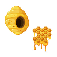 Colorful yellow beehive and honeycomb. Bee hive illustration isolated on white background.