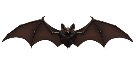 Menacing Flying Bat Illustration with Red Eyes on Dark Background