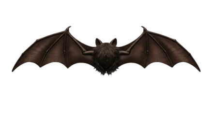 Dark Bat with Spread Wings Flying Against a Black Background