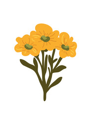 vector illustration natural yellow floral elements