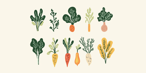 set of organic vegetables, vector illustration