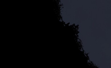 Grey watercolor ink paint splash black background abstract texture artistic brush grunge colorful for business flyer template