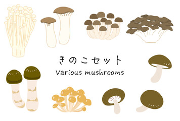 色々なキノコのイラストセット　エノキ・エリンギ・シメジ・舞茸・松茸・なめこ・椎茸