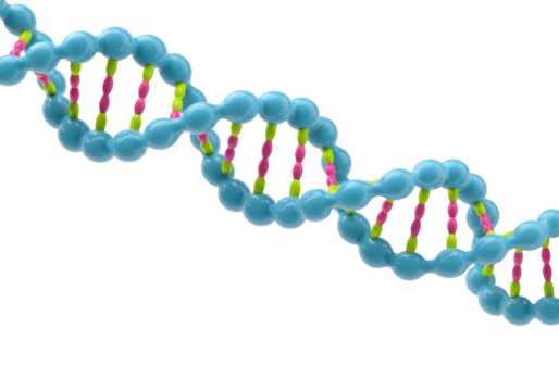 Colorful DNA molecule model isolated PNG, genetic code structure on transparent background