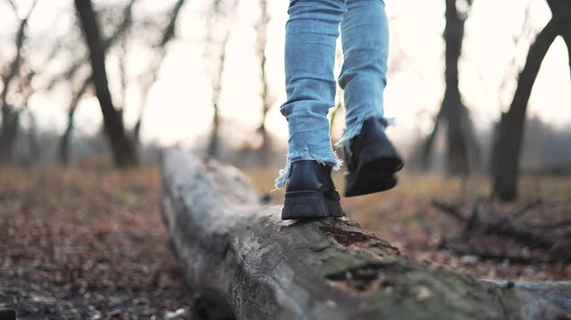Walking on fallen log balancing boot and foot over rough bark in forest clearing during autumn as denim jeans fringe brush moss and leaf litter creating nature trail with steady balance and stride
