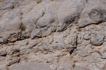 Rhyolite (Pleistocene)—Rhyolite tuffs, flows, and domes; Mesa Falls Scenic Byway,  Fremont County, Idaho.  near Bear Gulch Trailhead

