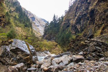mountain stream in the mountains