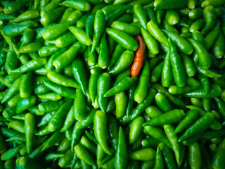 A single orange-red chili pepper stands out prominently amidst a dense, full-frame pile of vibrant green chili peppers.