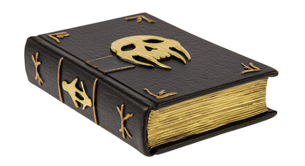 Ancient Leather bound Grimoire with Golden Skull Emblem on Dark Cover