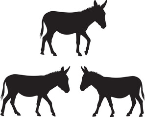Fototapeta premium Three donkey silhouettes standing and walking