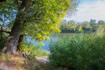 autumn landscape with river