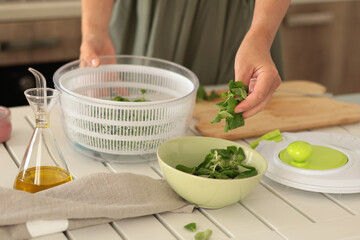 Woman put dried valerian leaves into bowl from dryer. Healthy eating and foods. Mediterranean diet. 