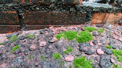 Mixed debris and soil around building foundation showing early construction progress