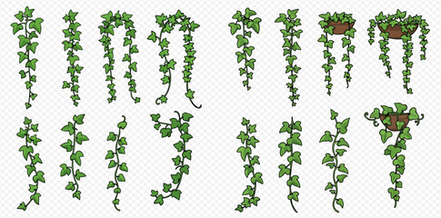 Ivy vines and potted plants illustration on transparent background.