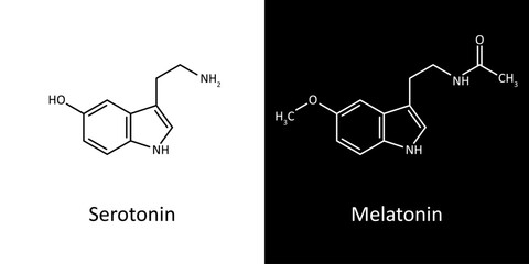 Serotonin and Melatonin