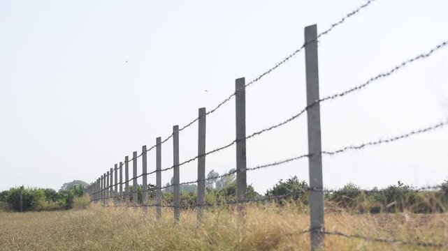 A large fence with rows of barbed wire in a field, Concrete pole with wire fencing around rice field for protection Barbed wire fence with burred image of field
