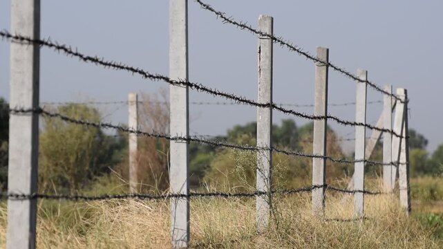 A large fence with rows of barbed wire in a field, Concrete pole with wire fencing around rice field for protection Barbed wire fence with burred image of field