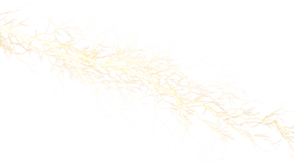 Light yellow dendritic pattern isolated on transparent background, resembling delicate branches or veins with a subtle and organic aesthetic