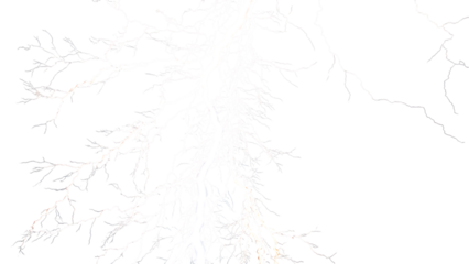 A delicate and intricate pattern of white branches isolated on transparent background, creating a sense of ethereal beauty and fragility