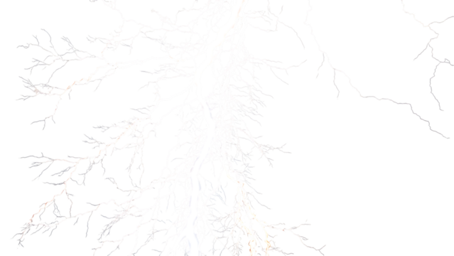 A delicate and intricate pattern of white branches isolated on transparent background, creating a sense of ethereal beauty and fragility