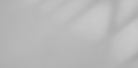 Background shadow white light wall floor backdrop overlay leaf mockup summer sunight overlay nature on room cement abstract blur muckup effect grey minimal platform for presentation product