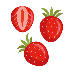 Strawberry macro. Vector icons. Strawberry cross-section.