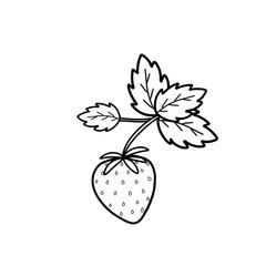 strawberry with leaves for coloring 