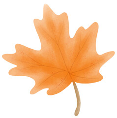 Obraz premium Maple leaf autumn harvest in watercolor style of seasonal thanksgiving for holiday celebration