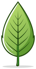 Stylized Green Leaf with Dark Outline and Veins on White
