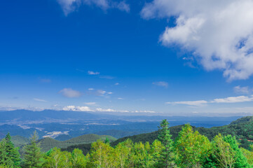 Obraz premium 美ヶ原高原の風景 青空と高原