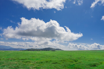 美ヶ原高原の風景　青空と高原