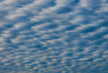 Waves in the Sky. 