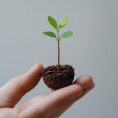 Small Seedling Growing on Hand Against Neutral Background