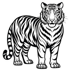 Majestic Tiger Outline Vector Illustration,Black and White Tiger Line Drawing,Wild Tiger Vector Silhouette Illustration,Detailed Tiger Line Art Design,Elegant Standing Tiger Vector Artwork