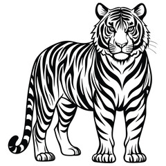 Majestic Tiger Outline Vector Illustration,Black and White Tiger Line Drawing,Wild Tiger Vector Silhouette Illustration,Detailed Tiger Line Art Design,Elegant Standing Tiger Vector Artwork