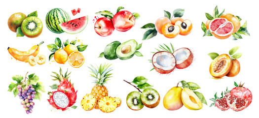 watercolor tropical fruits slice kiwi, watermelon, apple, peach, orange, banana, lemon, mango, avocado, coconut, grape, pineapple, pomegranate with green leaves illustration fruits clip art