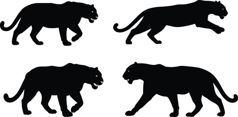 Black panther silhouette walking poses, wild animal vector art, feline movement illustration for design projects