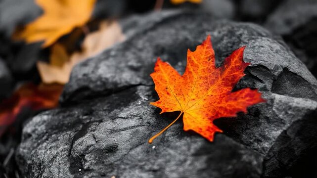 A single orange leaf lying on top of a pile of rugged rocks, perfect for autumn or nature-themed compositions