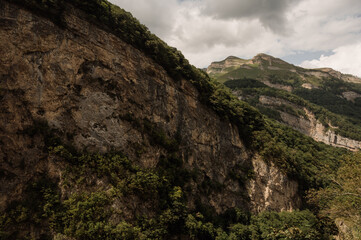 A close-up of a rock wall with vegetation and mountain peaks deep in a canyon