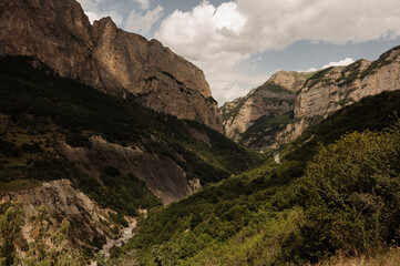 A close-up of a rock wall with vegetation and mountain peaks deep in a canyon