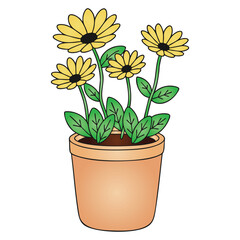 Potted Yellow Daisy or Chamomile Flowers in Terracotta Pot Vector