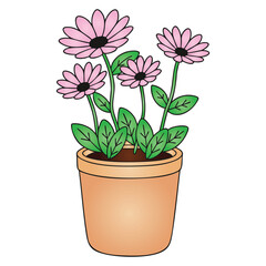 Potted Pink Gerbera Daisy Flowers in Terracotta Pot Vector Illustration