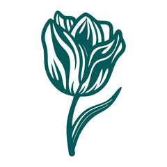 Elegant Tulip Flower Illustration, Navy on Pink Mothering Sunday Tulip flower with soft curves and a single stem monochrome navy on pale pink