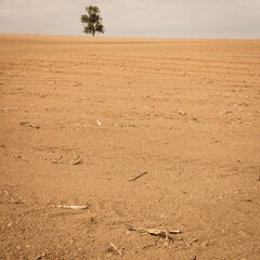 paysage désertique, sécheresse, réchauffement climatique, champ sec
