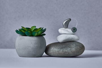 Obraz na płótnie Canvas BTE hearing aid rests delicately on stacked rocks, next to a potted succulent. Hearing health