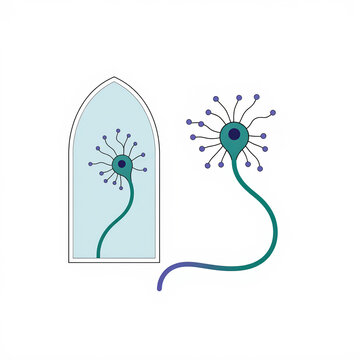 a neuron facing its reflection, symbolizing the neuroscience concept of mirror neurons and empathy in the brain.
